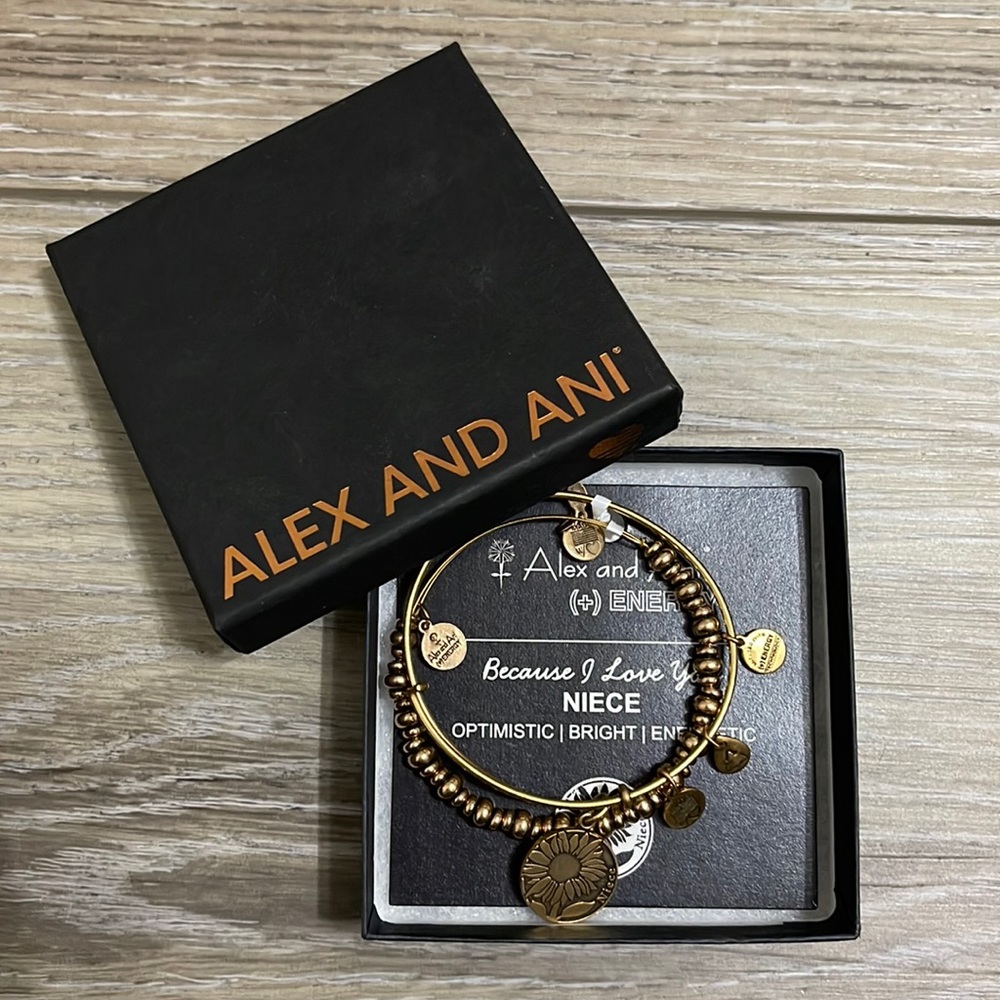 Alex and Ani niece double bracelet. Brand new with tags